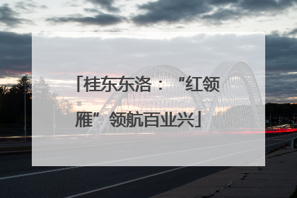 桂东东洛：“红领雁”领航百业兴