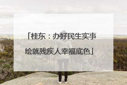 桂东：办好民生实事 绘就残疾人幸福底色