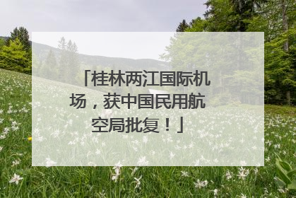 桂林两江国际机场，获中国民用航空局批复！
