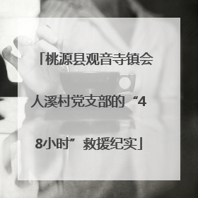 桃源县观音寺镇会人溪村党支部的“48小时”救援纪实