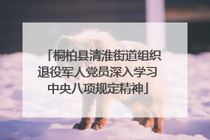 桐柏县清淮街道组织退役军人党员深入学习中央八项规定精神