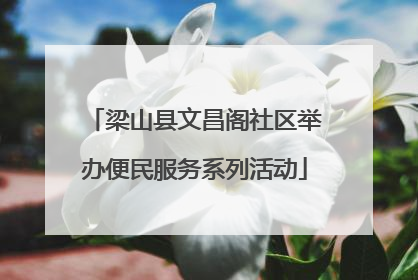 梁山县文昌阁社区举办便民服务系列活动