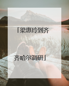 梁惠玲到齐齐哈尔调研