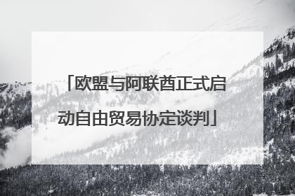 欧盟与阿联酋正式启动自由贸易协定谈判