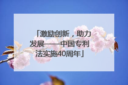 激励创新，助力发展——中国专利法实施40周年