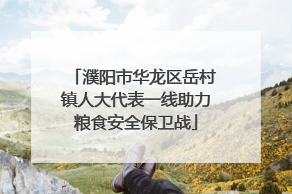 濮阳市华龙区岳村镇人大代表一线助力粮食安全保卫战