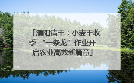 濮阳清丰：小麦丰收季 “一条龙”作业开启农业高效新篇章