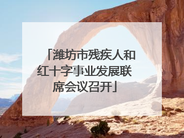 潍坊市残疾人和红十字事业发展联席会议召开