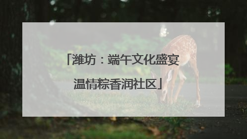 潍坊：端午文化盛宴 温情粽香润社区