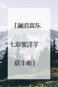 澜沧富东七彩紫洋芋获丰收