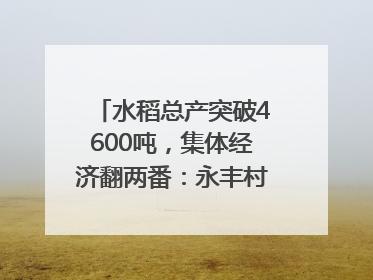 水稻总产突破4600吨，集体经济翻两番：永丰村的三年蜕变｜您牵挂的四川