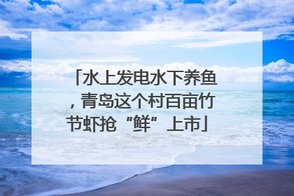 水上发电水下养鱼，青岛这个村百亩竹节虾抢“鲜”上市