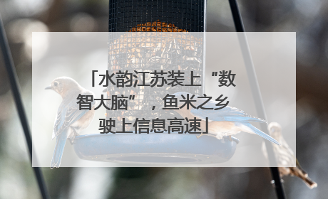 水韵江苏装上“数智大脑”，鱼米之乡驶上信息高速
