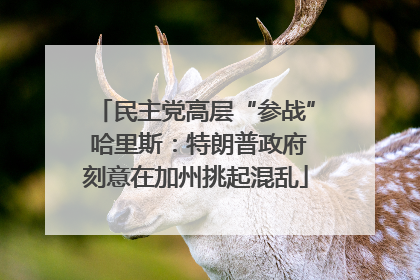民主党高层“参战” 哈里斯：特朗普政府刻意在加州挑起混乱