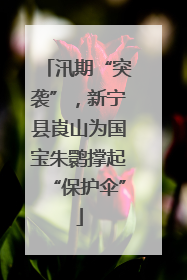 汛期“突袭”，新宁县崀山为国宝朱鹮撑起“保护伞”