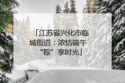 江苏省兴化市临城街道：浓情端午 “粽”享时光