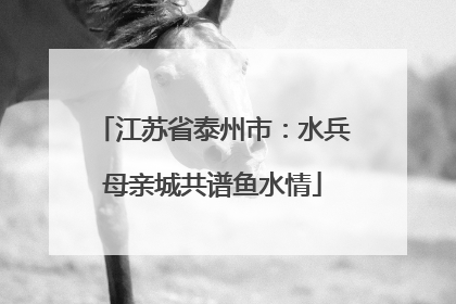 江苏省泰州市：水兵母亲城共谱鱼水情