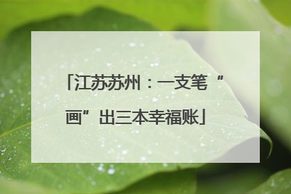 江苏苏州：一支笔“画”出三本幸福账