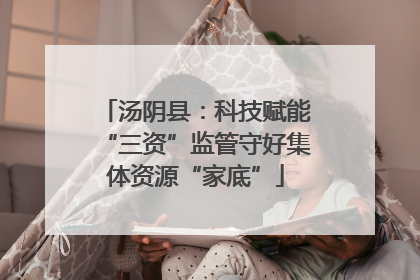 汤阴县：科技赋能“三资”监管守好集体资源“家底”