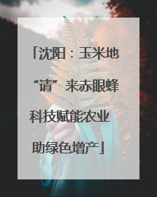 沈阳：玉米地“请”来赤眼蜂 科技赋能农业助绿色增产