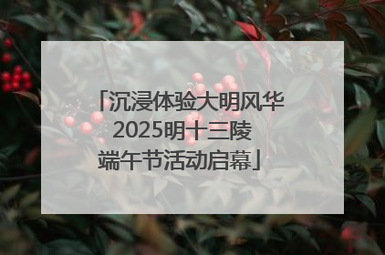 沉浸体验大明风华 2025明十三陵端午节活动启幕