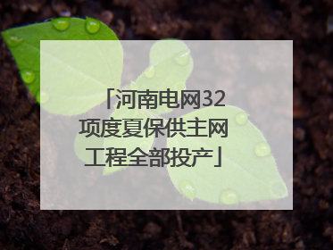 河南电网32项度夏保供主网工程全部投产