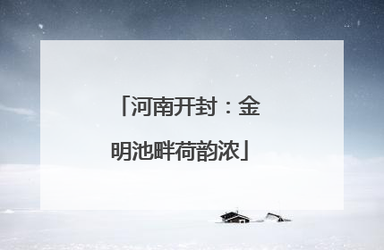 河南开封：金明池畔荷韵浓