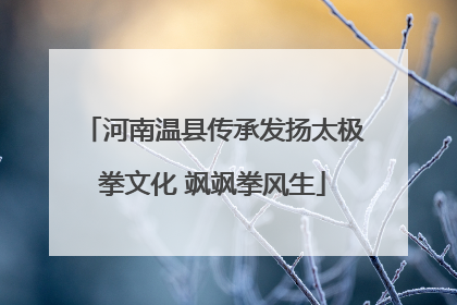 河南温县传承发扬太极拳文化 飒飒拳风生