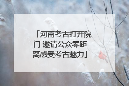 河南考古打开院门 邀请公众零距离感受考古魅力