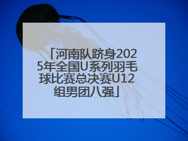 河南队跻身2025年全国U系列羽毛球比赛总决赛U12组男团八强