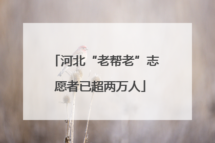 河北“老帮老”志愿者已超两万人
