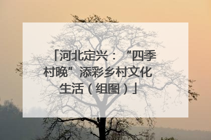 河北定兴：“四季村晚”添彩乡村文化生活（组图）