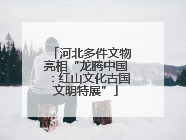 河北多件文物亮相“龙腾中国：红山文化古国文明特展”