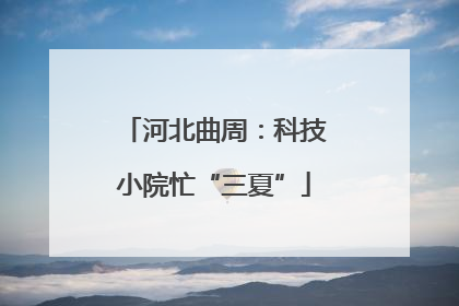 河北曲周：科技小院忙“三夏”