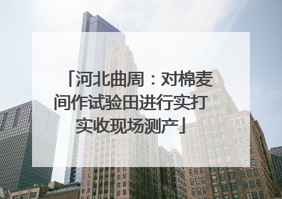 河北曲周：对棉麦间作试验田进行实打实收现场测产
