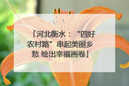 河北衡水：“四好农村路”串起美丽乡愁 绘出幸福画卷