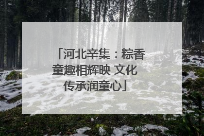 河北辛集：粽香童趣相辉映 文化传承润童心