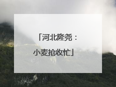 河北隆尧：小麦抢收忙