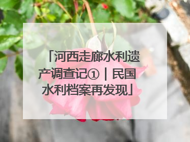河西走廊水利遗产调查记①｜民国水利档案再发现