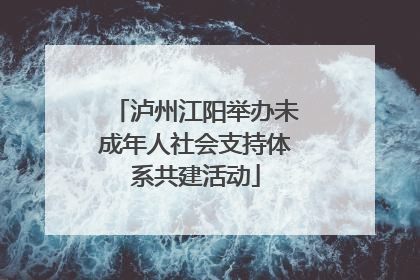 泸州江阳举办未成年人社会支持体系共建活动