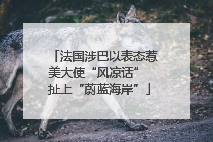 法国涉巴以表态惹美大使“风凉话” 扯上“蔚蓝海岸”
