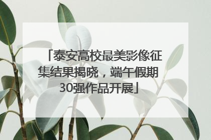 泰安高校最美影像征集结果揭晓，端午假期30强作品开展