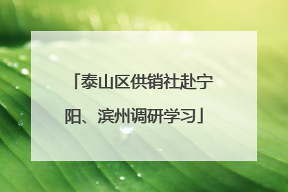 泰山区供销社赴宁阳、滨州调研学习