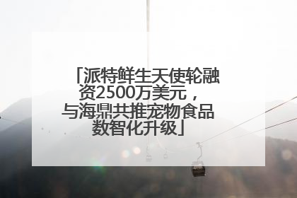 派特鲜生天使轮融资2500万美元，与海鼎共推宠物食品数智化升级