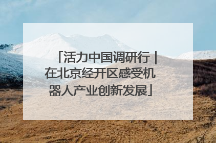 活力中国调研行｜在北京经开区感受机器人产业创新发展