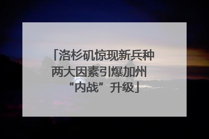 洛杉矶惊现新兵种 两大因素引爆加州“内战”升级