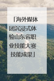 海外媒体团沉浸式体验山东省职业技能大赛技能成果