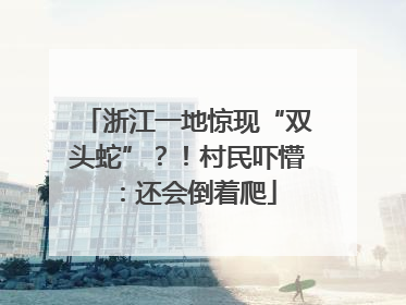 浙江一地惊现“双头蛇”？！村民吓懵：还会倒着爬