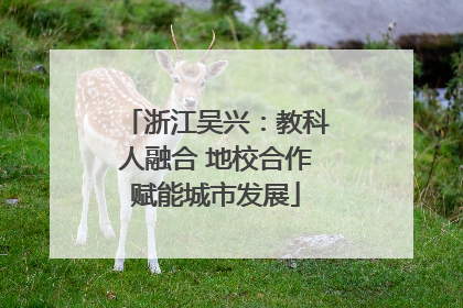 浙江吴兴：教科人融合 地校合作赋能城市发展