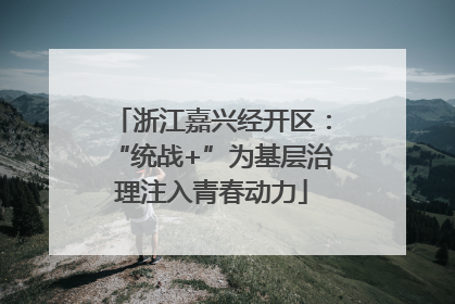 浙江嘉兴经开区：“统战+”为基层治理注入青春动力